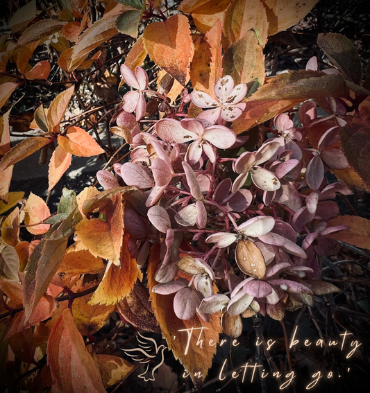 ‘There is beauty in letting go.’