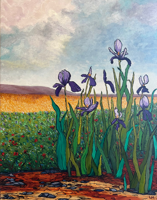 Field of Irises